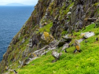 Sceilg Mhichíl / Skellig Michael